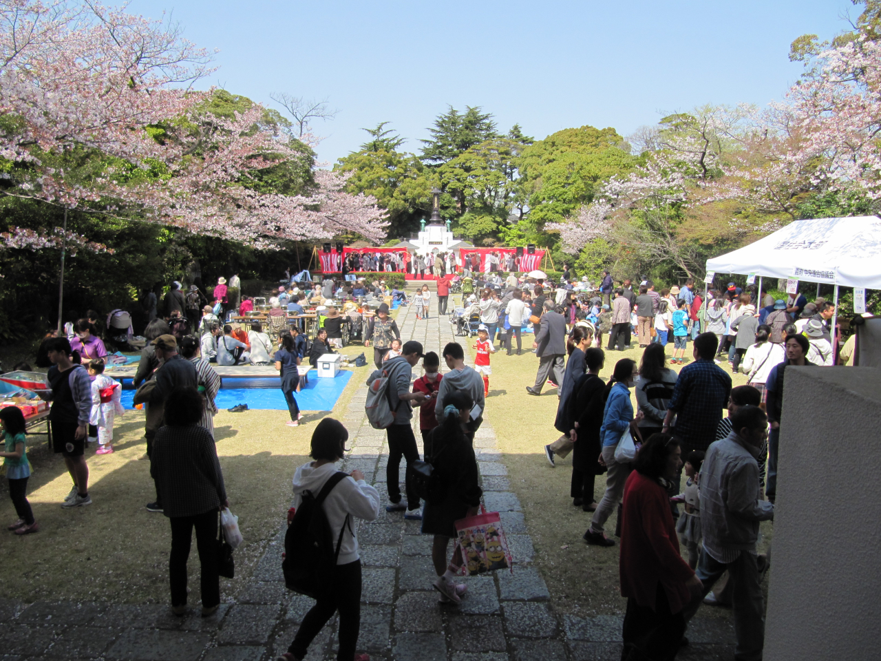 申孝園桜まつりのご案内